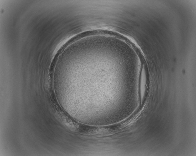 X0000064750879200602131224