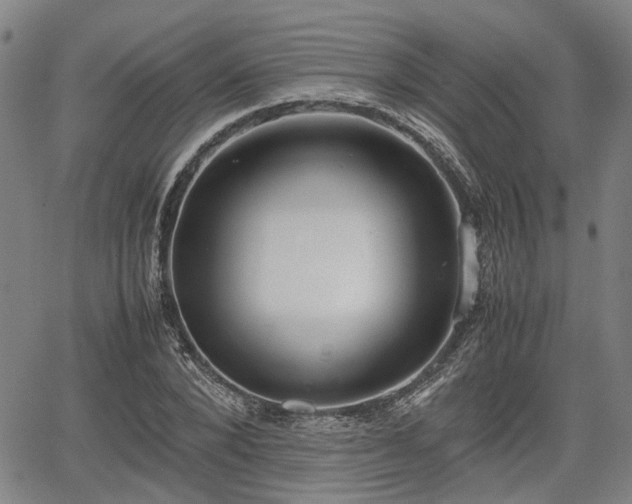 X0000064750880200602131224