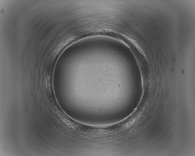 X0000064750881200602131224