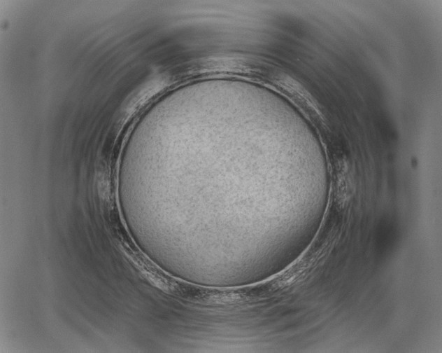 X0000064750882200602131224