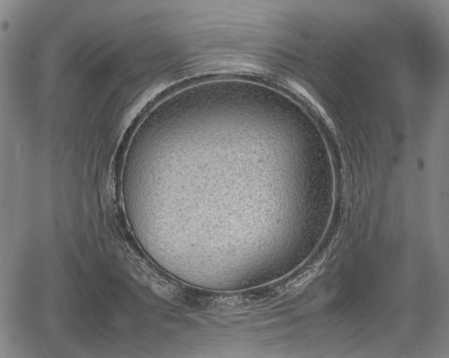 X0000064750883200602131224