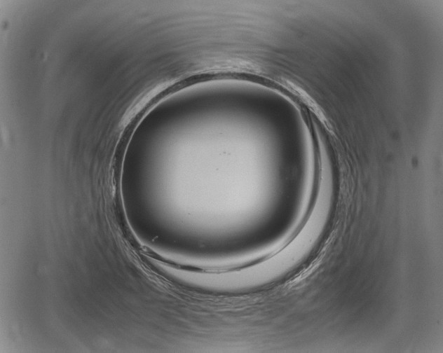 X0000064750885200602131224