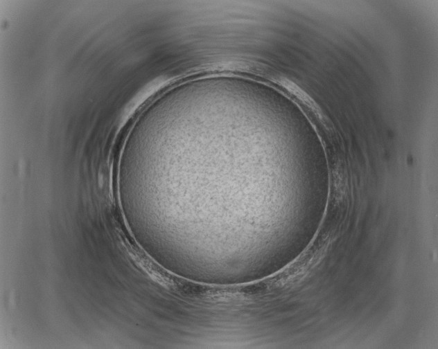 X0000064750886200602131224