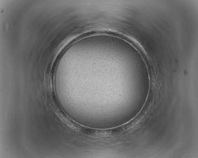 X0000064750887200602131224