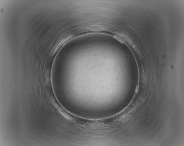 X0000064750889200602131224