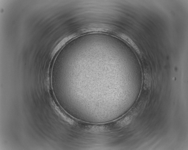 X0000064750890200602131224