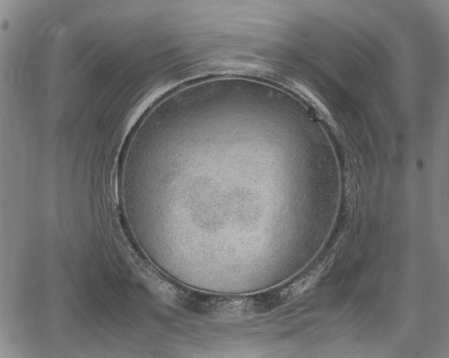 X0000064750891200602131223