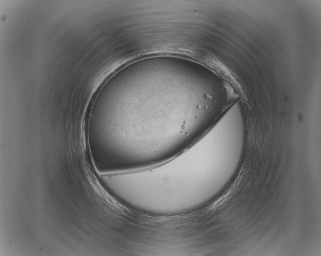 X0000064750892200602131223