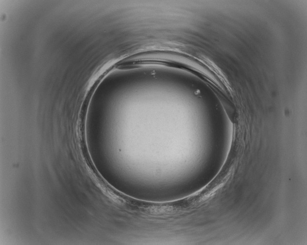 X0000064750893200602131223