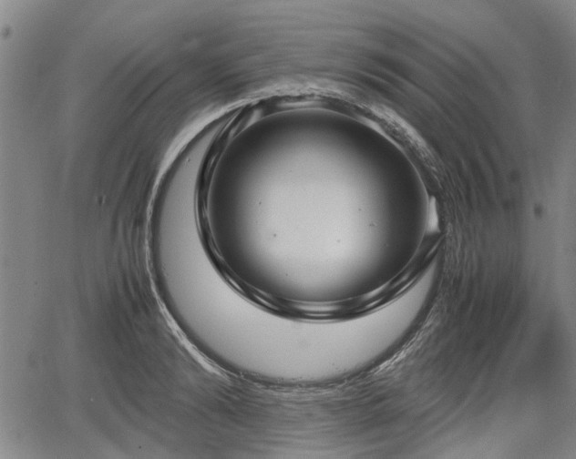 X0000064750894200602131223