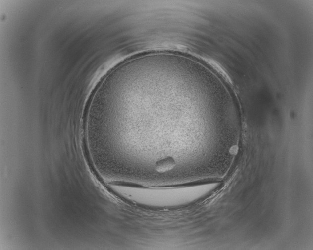 X0000064750895200602131223