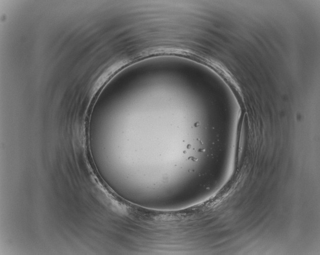 X0000064750898200602131223