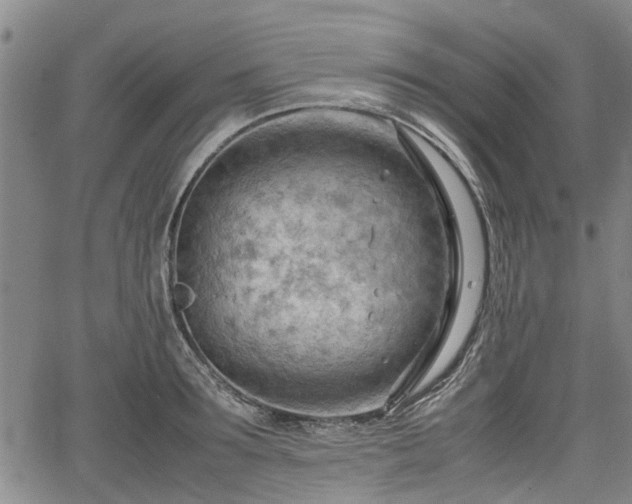 X0000064750899200602131223