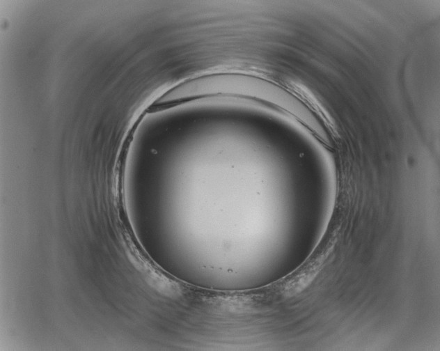 X0000064750900200602131223