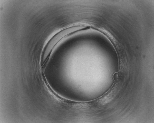 X0000064750902200602131223