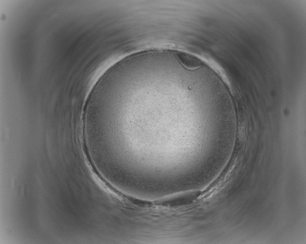 X0000064750903200602131223