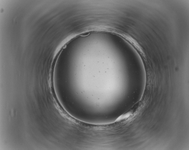 X0000064750904200602131223