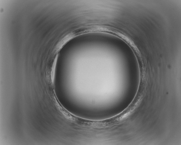 X0000064750905200602131223