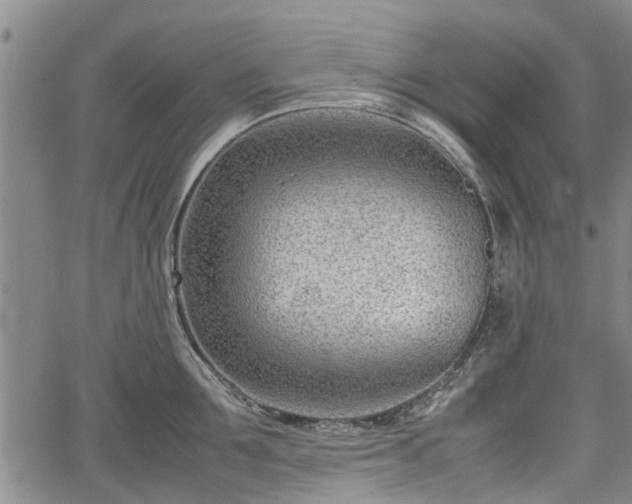 X0000064750907200602131223