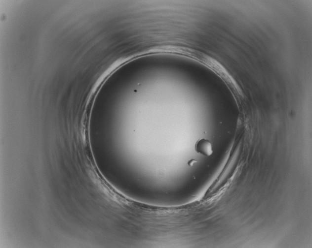 X0000064750908200602131223