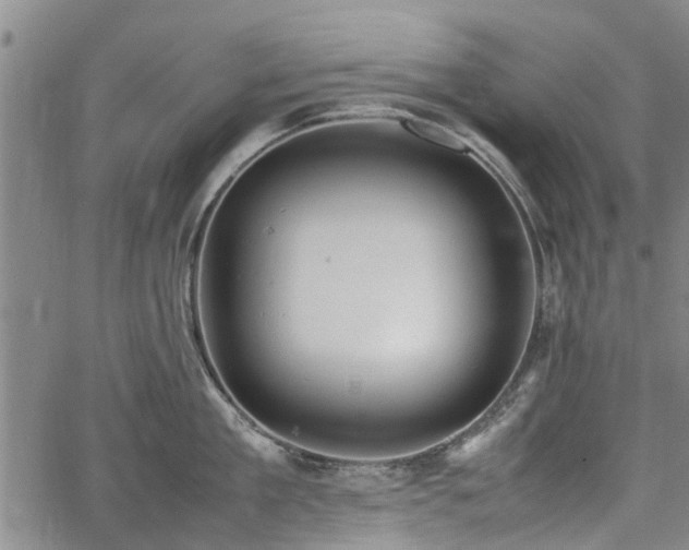 X0000064750909200602131223