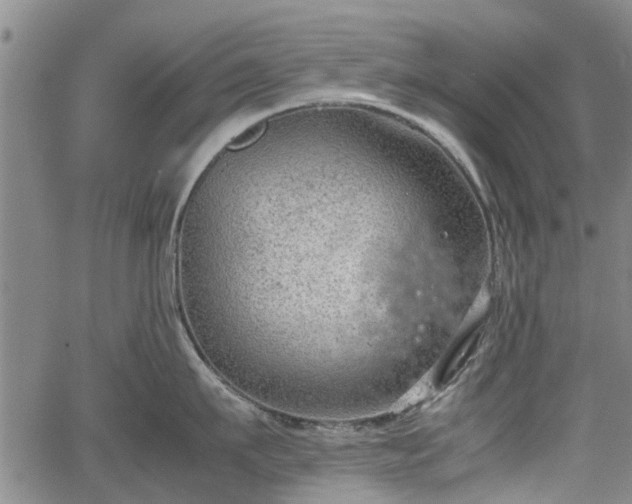 X0000064750911200602131223