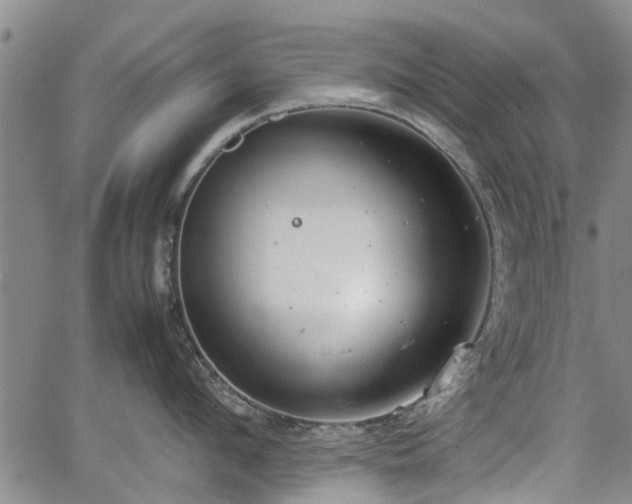 X0000064750912200602131223