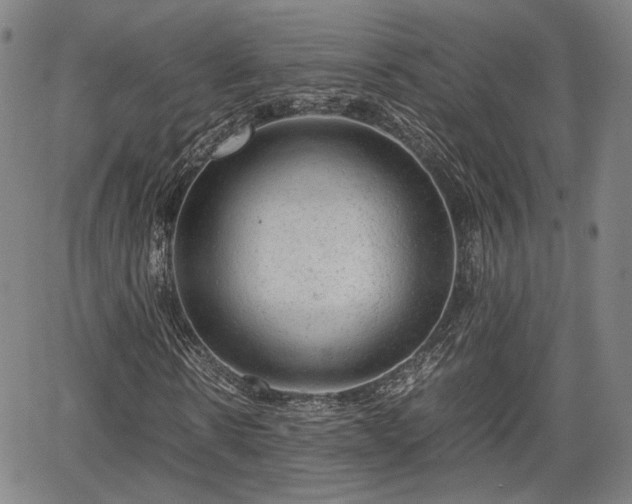 X0000064750914200602131222