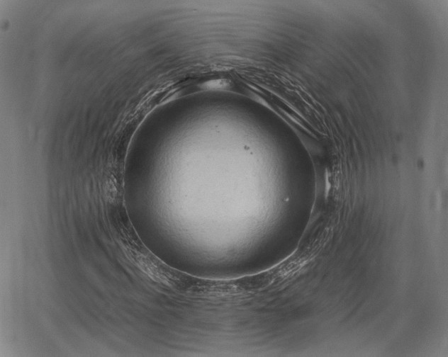 X0000064750916200602131222