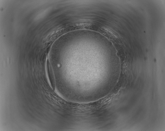 X0000064750917200602131222