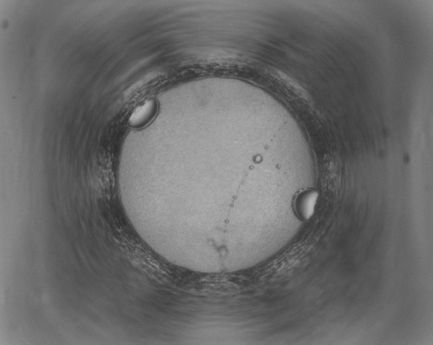 X0000064750918200602131222