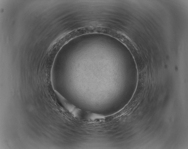 X0000064750919200602131222