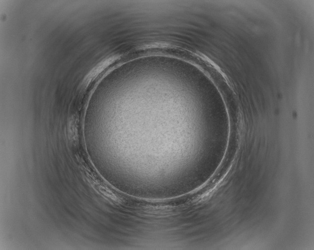 X0000064750921200602131223