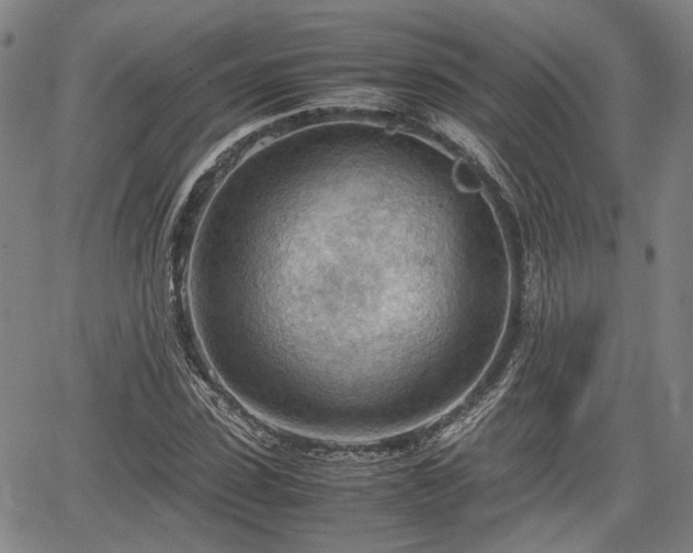 X0000064750923200602131223