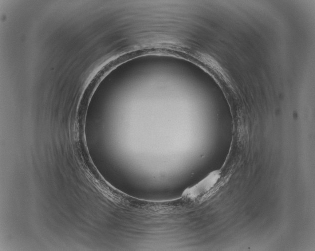 X0000064750924200602131223