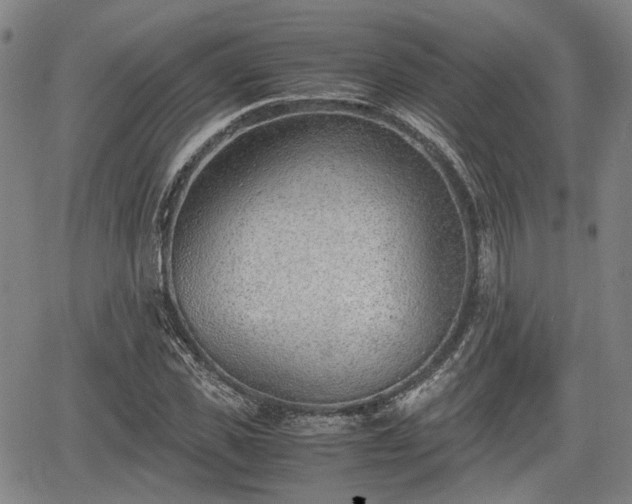 X0000064750925200602131223