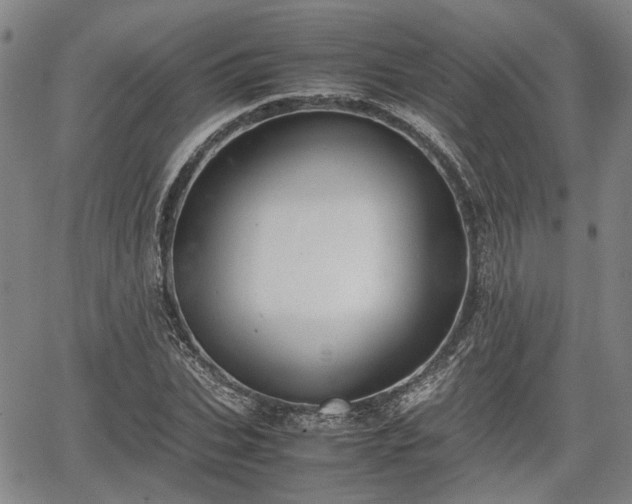 X0000064750927200602131223