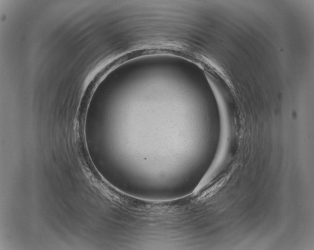 X0000064750928200602131223