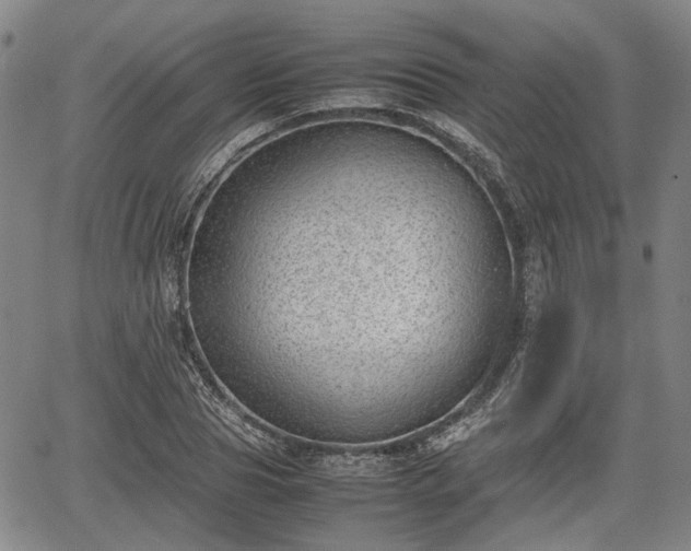 X0000064750929200602131223