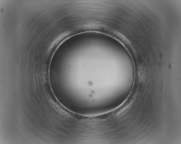 X0000064750930200602131223