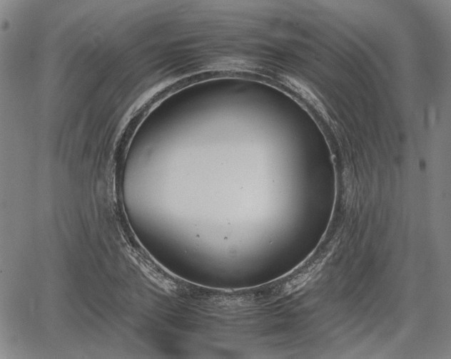 X0000064750931200602131223