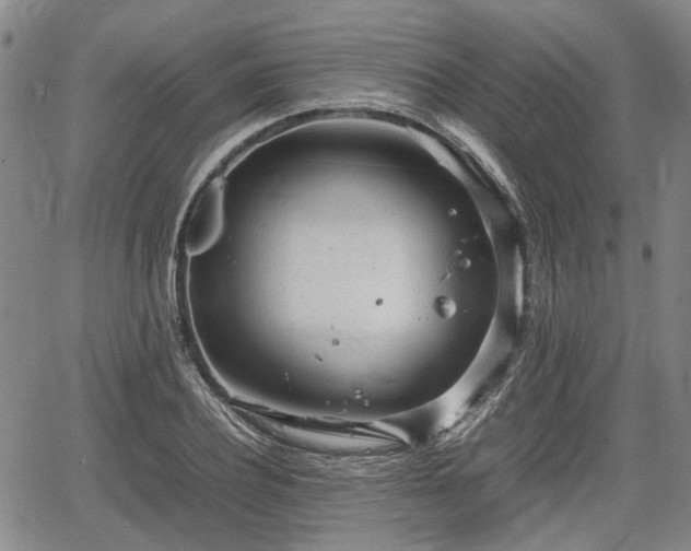 X0000064750932200602131223