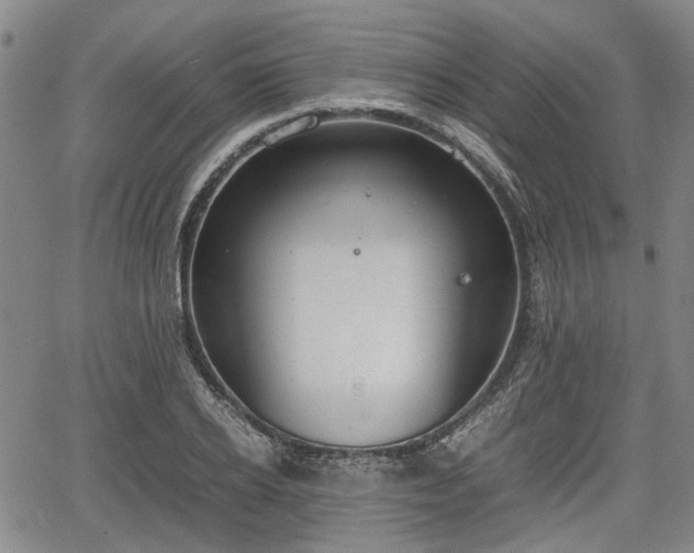 X0000064750934200602131223