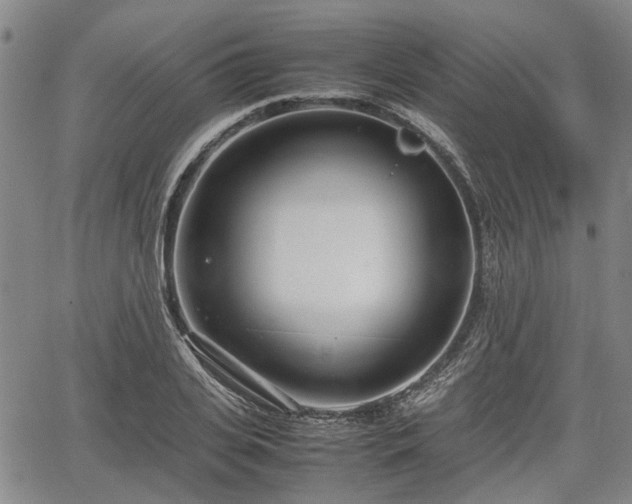 X0000064750935200602131223