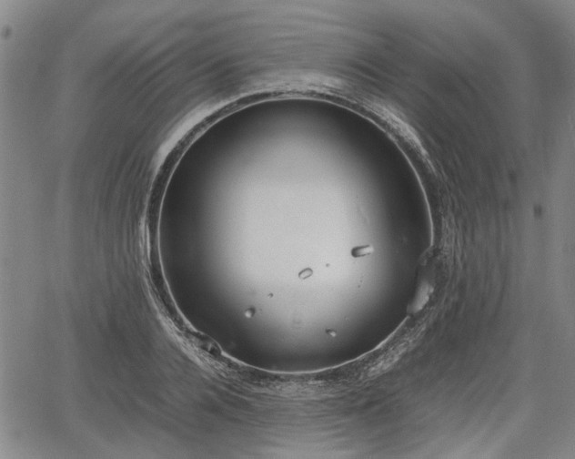 X0000064750936200602131223