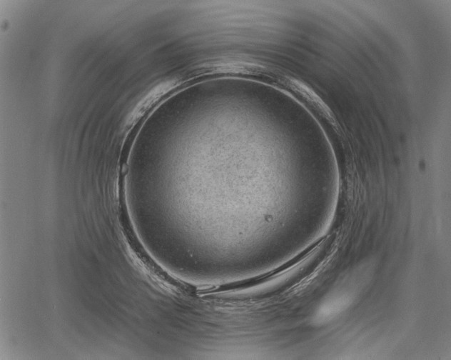 X0000064750938200602131223