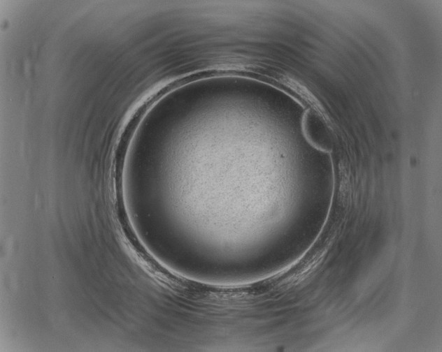 X0000064750939200602131223