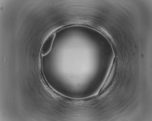 X0000064750940200602131223