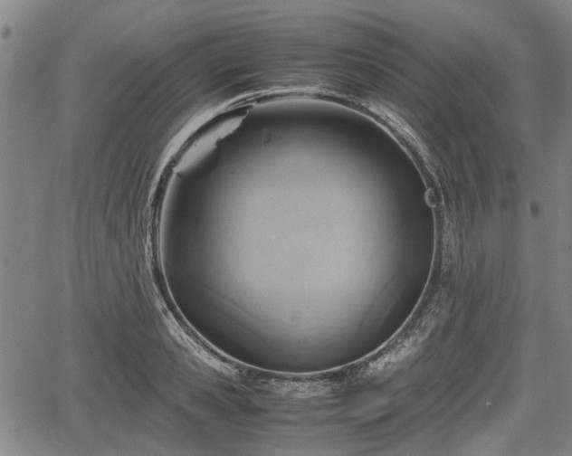 X0000064750941200602131223