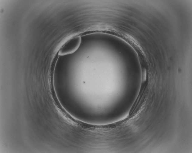 X0000064750942200602131223